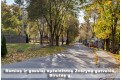Parduodamas butas Birutės g. Žvėrynas, Vilniuje 65 kv.m.